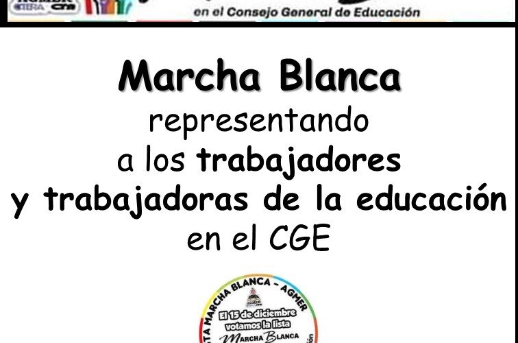 Marcha Blanca en el CGE, Susana Cogno Vocal representante de los trabajadores y trabajadoras de la educación